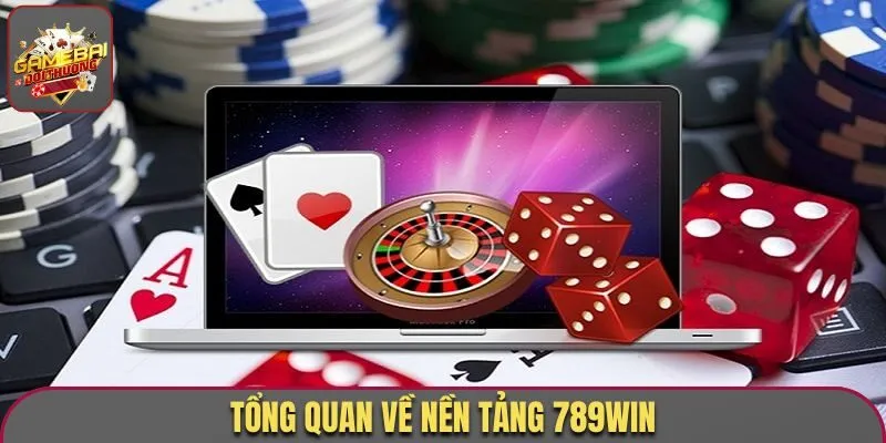 Tổng quan về nền tảng 789Win
